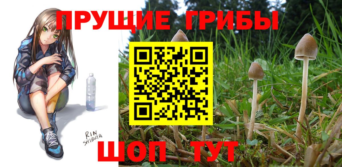 Галлюциногенные грибы Magic Shrooms  Вход с VPN  Можга  Псилоцибиновые грибы мухоморы 